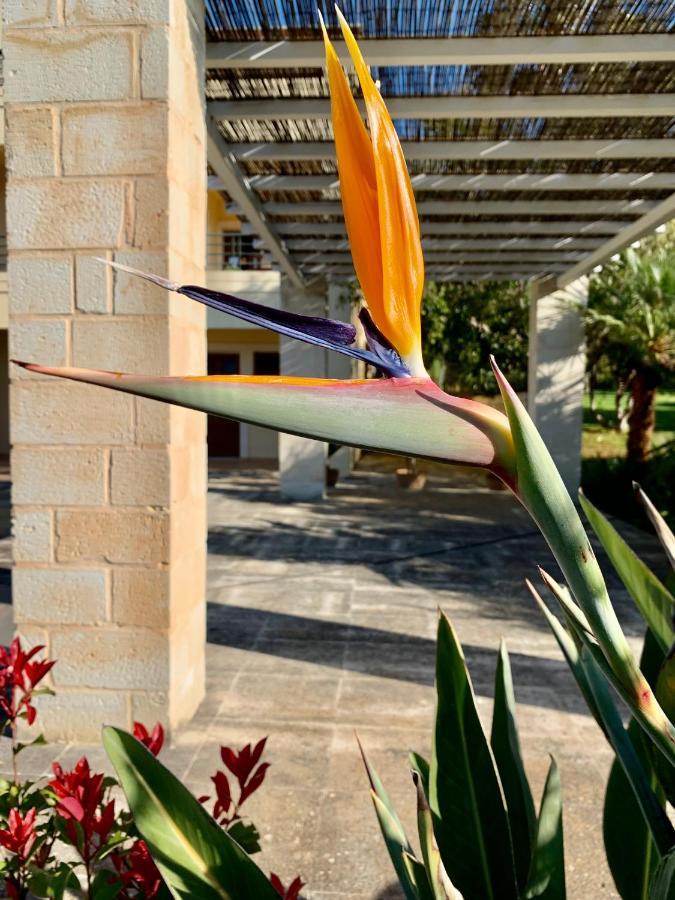Aggelos And Thisbe Chania Suburbs Sea View Guest House Exterior foto