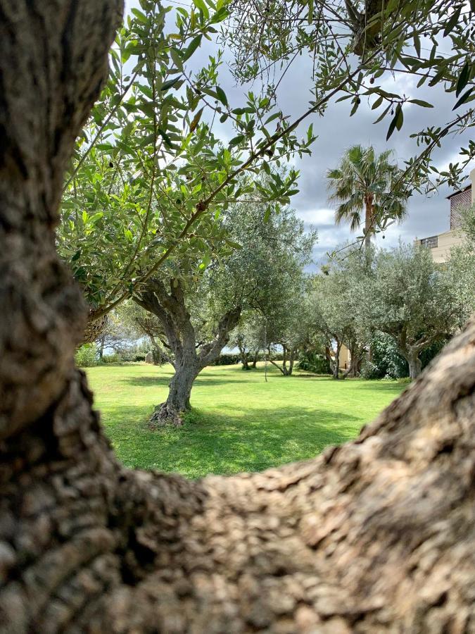 Aggelos And Thisbe Chania Suburbs Sea View Guest House Exterior foto