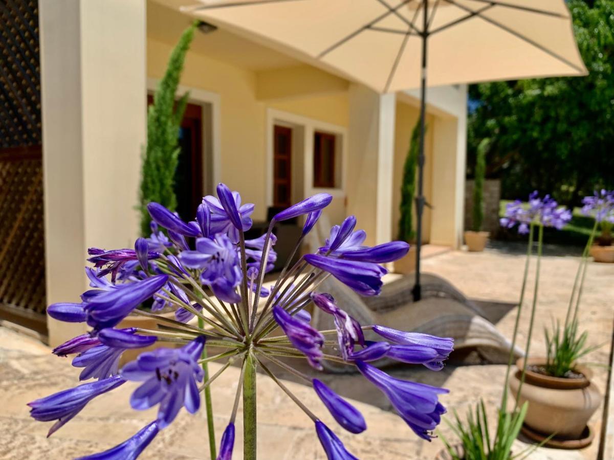 Aggelos And Thisbe Chania Suburbs Sea View Guest House Exterior foto